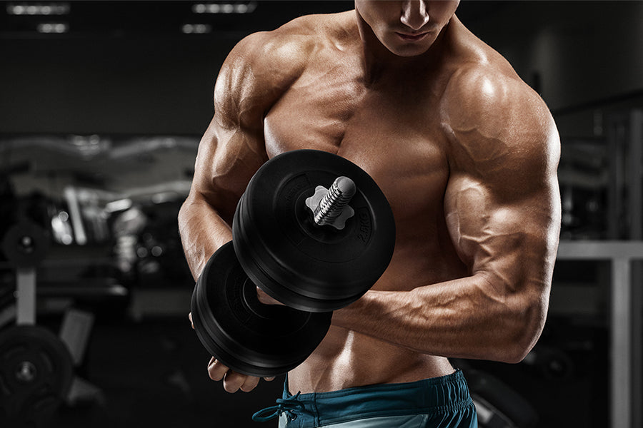 Tips for men who want to build muscle effectively and gain lean muscle mass