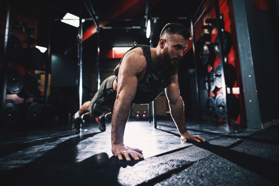 Paused Weighted Pushups – DMoose