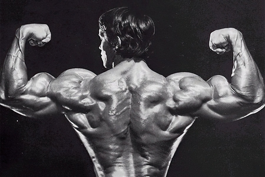 How To Build A Thick, Solid, Massive Back That Will Make You Proud