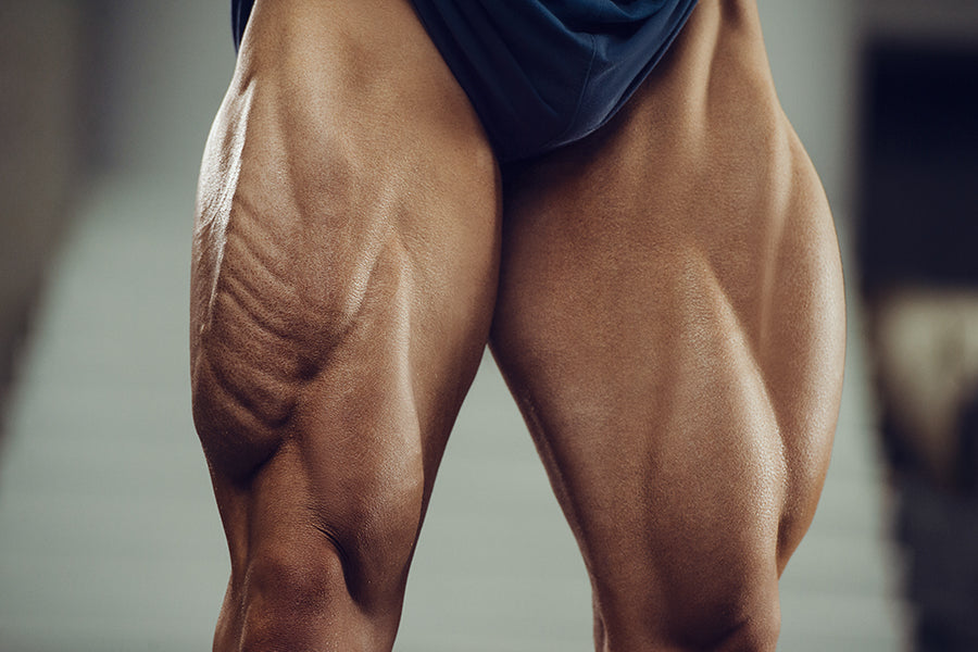 How to Develop Strong, Muscular Thighs  Calf muscle anatomy, Calf muscles, Muscular  thighs