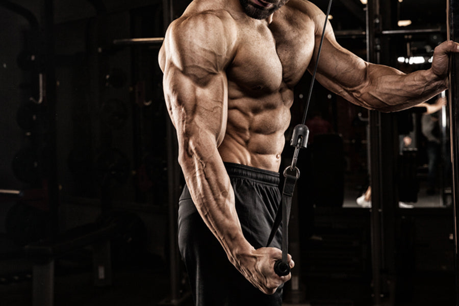 4 Moves That Will Give You RockSolid Biceps And Triceps