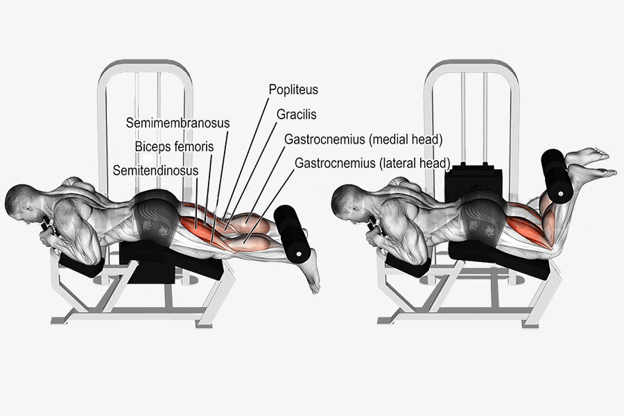 Improve Your Leg Strength with These Six Hamstring Curls Variations – DMoose