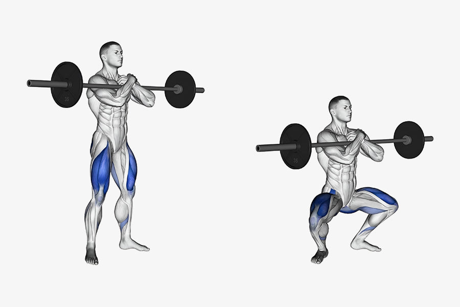How to Do the Zercher Squat, Benefits, Variations & Muscles Worked