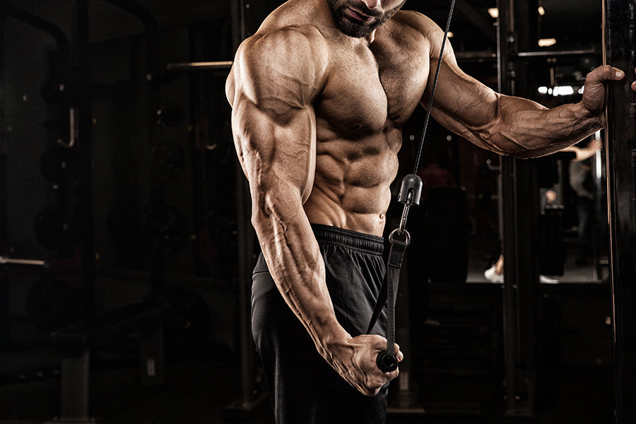 Accessories for bodybuilding: The 5 essentials to build muscle