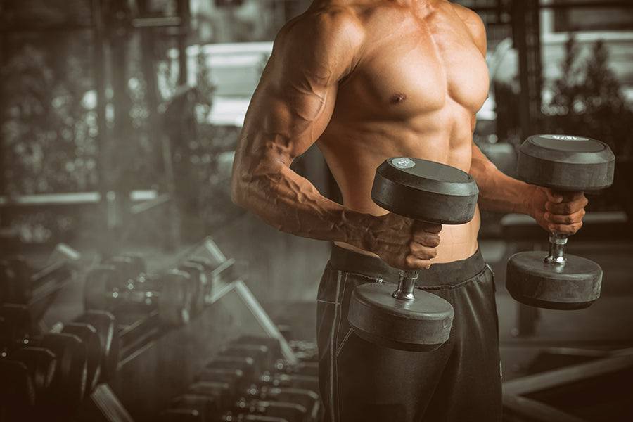 The 6-Week, High-frequency Training Program to Build More Muscle - Muscle &  Fitness