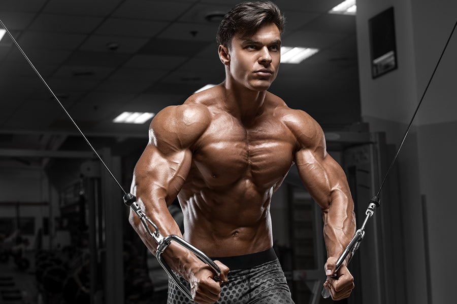 The Best Chest Exercises For Men · MuscleTech