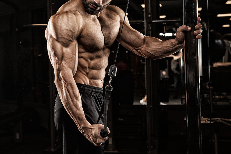 Effective muscle building