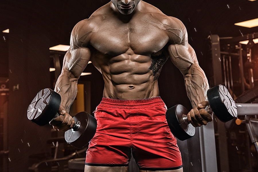 The ultimate total-body workout routine to build maximum muscle - Muscle &  Fitness