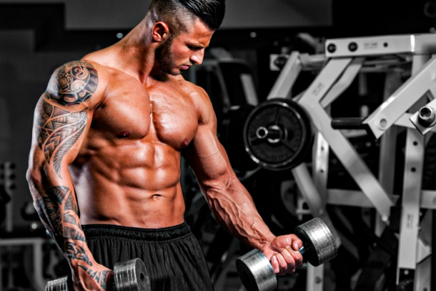 The Most Effective FULL BODY Workout For Muscle Growth 