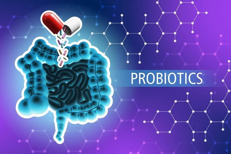 15 Advantages of Probiotics That Will Change Your Life Forever