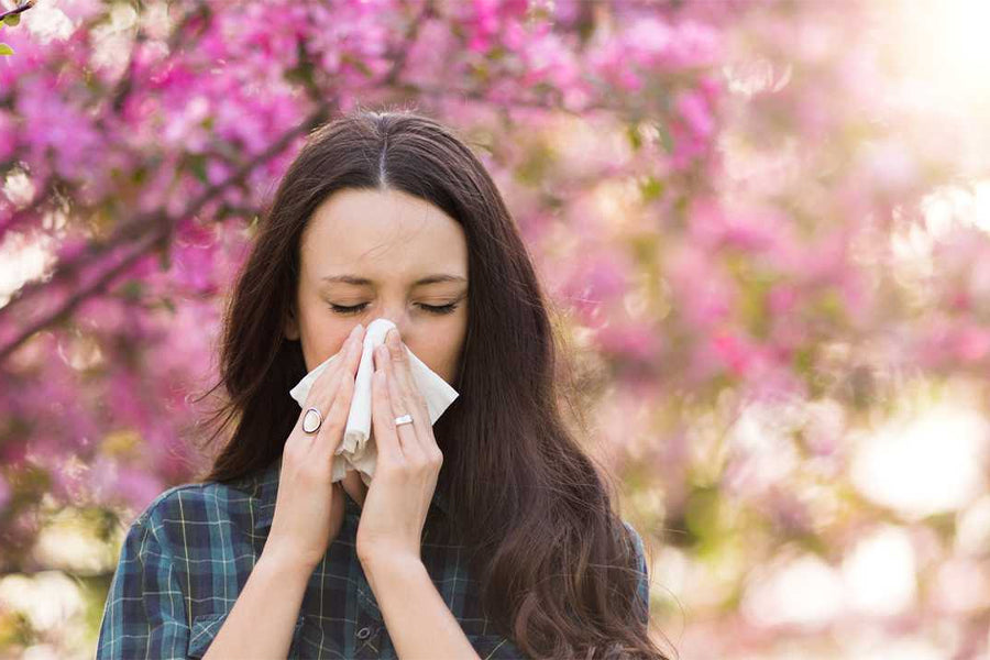 Can Improving Your Immune System Help Getting Rid of Allergies? A Comprehensive Guide