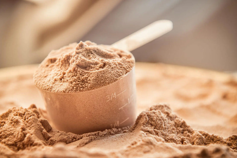 A Beginners Guide on Whey Protein and How It Can Help You