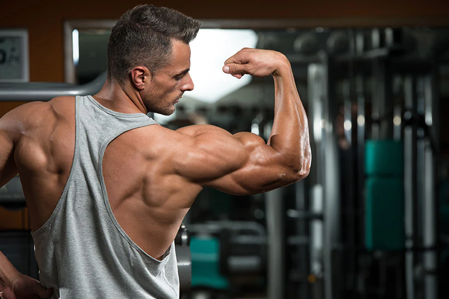 Can You Lose Fat and Gain Muscle at the Same Time?