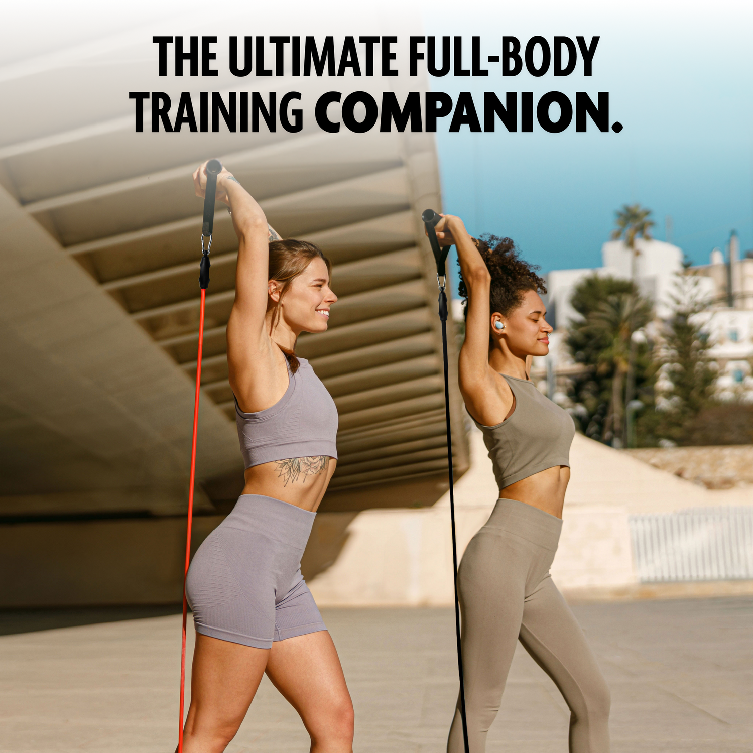 DMoose Tube Resistance Bands for Total Body Workouts