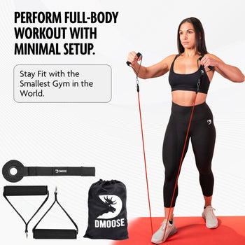 DMoose Tube Resistance Bands for Total Body Workouts